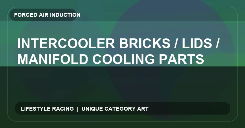 Intercooler Bricks / Lids / Manifold Cooling Parts